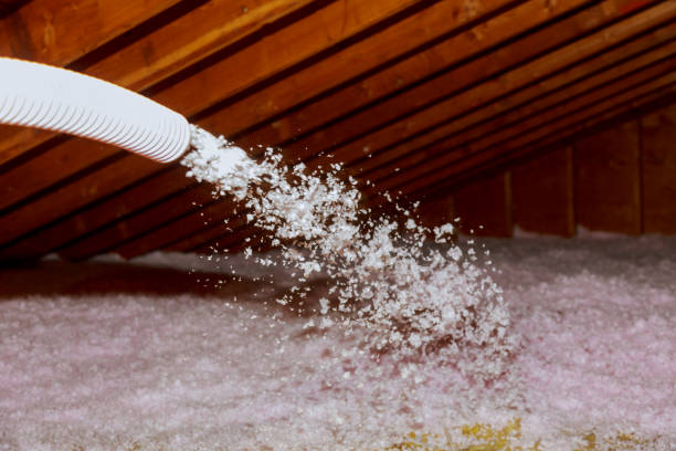Best Commercial Insulation in Deephaven, MN